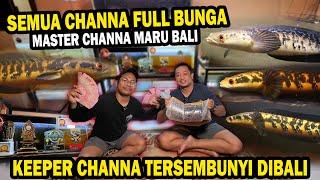 DUIT CASH 10 juta!! CUKIK KOLEKSI MASTER CHANNA FULL BUNGA TERSEMBUNYI