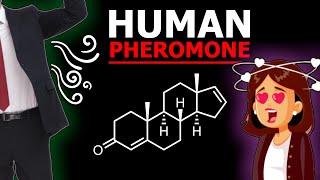 Making a Human Pheromone (Androstadienone)