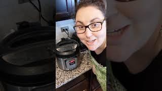 Instant Pot Brown Rice