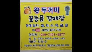 4월 12일 (인증)#왕두꺼비갤러리_010_7401_5577 유튜브실시간라이브 경매.옥션.판매.수집.옛날물건.세상만물.Shorts.숏츠