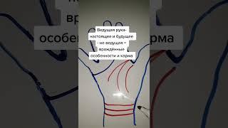 По какой руке смотреть линии? #хиромантия #магия