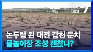 논두렁 된 대전 갑천 둔치…물놀이장 조성 괜찮나? / KBS  2024.07.16.