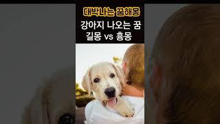 무속인들이 말하는 흉몽&길몽! 돈 나오는 꿈해몽! 흉몽일까? 길몽일까? 강아지가 나오는 꿈해몽!