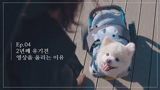 내가 2년째 주말을 포기하고 유기동물 영상을 올리는 이유 EP.04