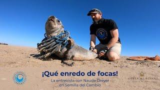 Qué enredo de focas - Entrevista con Naude Dreyer, Fundador de Ocean Conservation Namibia