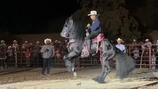 CABALLOS BAILADORES EN LA CIENEGA DE CASAL 2023