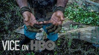 Why Colombia's Cocaine Industry Is Thriving | VICE on HBO (Bonus)