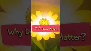 Why Do Bees Matter? | Fun Kids Learning Short on Pollination 