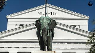 Museum Nasional Indonesia