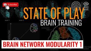 Brain Training State of Play - Brain Network Modularity 1