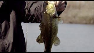 Sam Rayburn Reservoir Bass Fishing on Bass Pro Shops Fisherman's Handbook