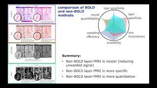 Non-BOLD layer fMRI by Renzo (Laurentius) Huber