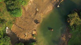 Trunks, Leaves & Water -  Elephant Coexistence in Sri Lanka - by Lalith Ekanayake