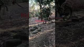 Riding with Luke