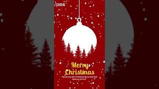 Wishing you all a Merry Christmas from The DSS Group!  #dssgroup #merrychristmas #trending