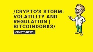 Crypto's Storm: Volatility and Regulation | BitcoinDorks