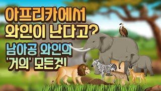 남아프리카 공화국 와인