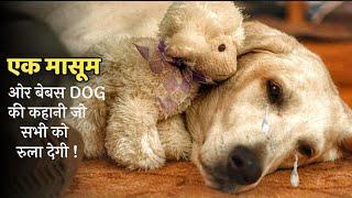 Story OF A Adopted DOG | Emotional Story | Dog Lovers | Movie Explained In Hindi