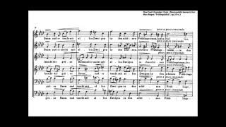 Max Reger - Frühlingsblick, Novi Sad Chamber Choir