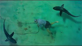 Diving On Our Fouled Anchor - Onboard Lifestyle ep.316