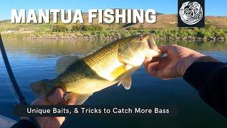 Mantua Reservoir Fishing - Largemouth Bass Tricks
