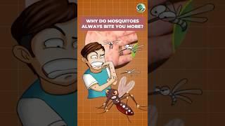 Why Do Mosquitoes Always Bite You More? | Ryker - Daily Discoveries