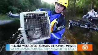 Humane World for Animals' lifesaving mission