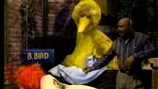 Sesame Street - Frazzle Sleeps Over