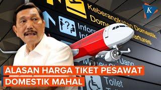 Disorot Luhut, Mengapa Harga Tiket Pesawat Domestik Sangat Mahal?