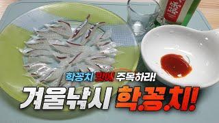 학꽁치 낚시-겨울철 별미인 학꽁치를 빨딱찌로 직접 잡아서 먹어보자!!