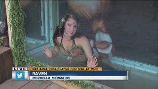 ABC Action News Weekend Edition: Renaissance Festival Mermaids