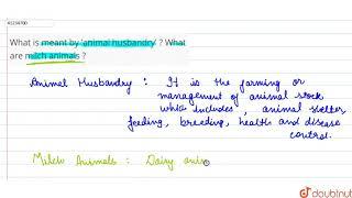 What is meant by 'animal husbandry' ? What are milch animals ? | 9 | IMPROVEMENT IN FOOD RESOURC...