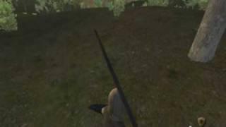 Mount&Blade: Warband arms position bug.