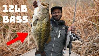 Catching Giant Bass With Big Soft Swimbaits Is Too Easy!