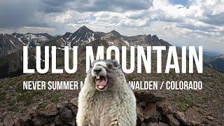 Lulu Mountain // Never Summer Mountains // State Forest