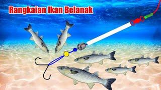 Rangkaian Pancing Ikan Belanak - Anti Mocel