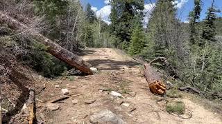 Pagosa springs - Devils mountain trail