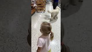 Cute Naomi met a dog in the grocery store. Baby short video!