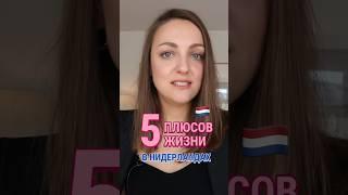 5️⃣ плюсов, чтобы переехать в Нидерланды  Карьера за границей