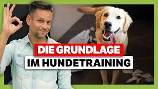 Frustrationstoleranz beim Hund erhöhen: EFFEKTIVE Übungen für den Alltag