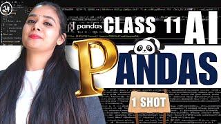 Python PANDAS  | Python | Class 11 AI - 843 | Unit 3: Python Programming