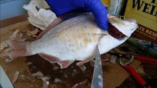 How to clean a whole fish - how to scale a fish