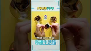 在家自制冰淇淋，懒虫必学 #创作灵感 #冰淇淋新吃法 #夏天从吃冰开始 #热门