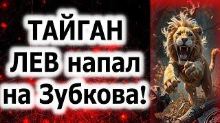 ТАЙГАН! ЛЕВ напал на Зубкова!
