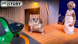  Hamster Escapes the Granny Maze with Grandpa  Homura Ham Pets