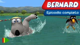 BERNARD BEAR - 131 | Episodio completo |