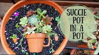 Succulent Pot in a Pot  | Succulent Arrangement DIY