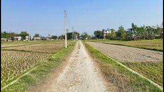 1.15 Lakh Dhur | cheap land for sale at morang owner 9852029373 @itahariRealEstate  #morang