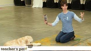 Teach a Dog to 'Take It' and 'Drop It' | Teacher's Pet With Victoria Stilwell