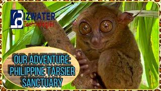 Philippine Tarsier Sanctuary:Fam Getaway Corella,Bohol #tarsier #tarsiersanctuary